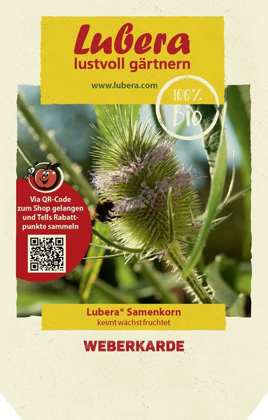 Weberkarde (Woll- oder Tuchkarde)