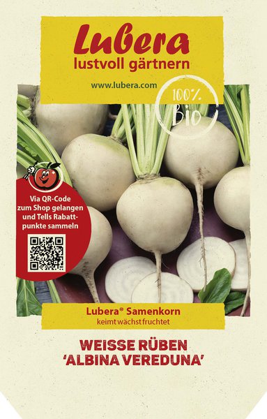 Weisse R�ben 'Albina Vereduna'