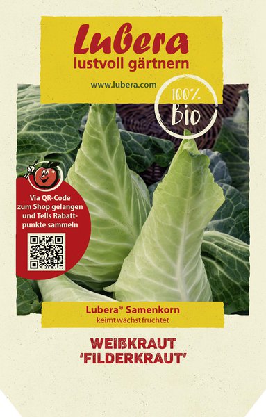 Weisskraut 'Filderkraut'