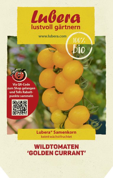 Wildtomaten 'Golden Currant'