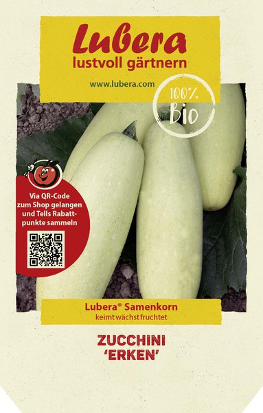 Zucchini 'Erken'