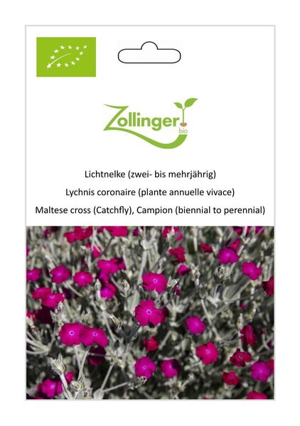 Lichtnelke (zwei- bis mehrj�hrig)