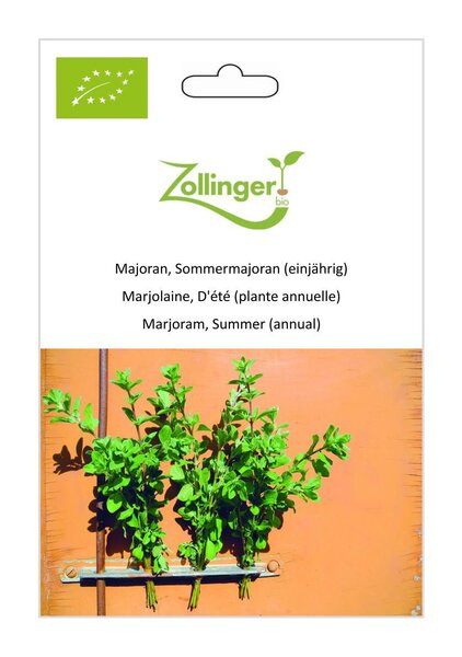 Majoran, Sommermajoran (einj�hrig)