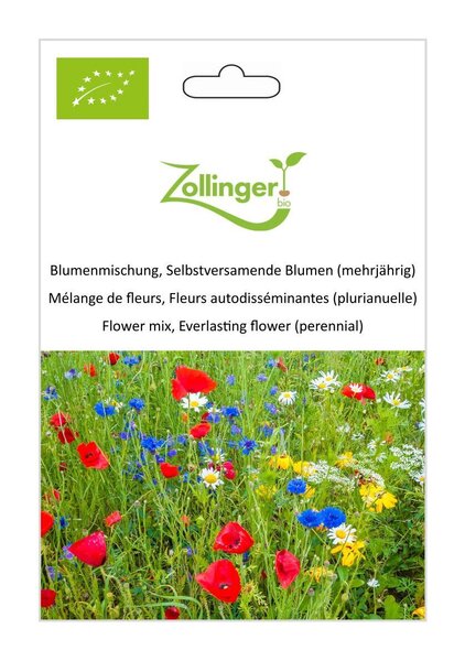 Mischung von selbst auss�enden Blumen 'Die Ewigen'