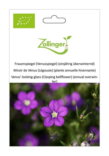 Frauenspiegel (Venusspiegel) (einj�hrig �berwinternd)