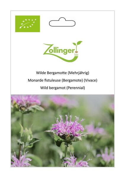 Wilde Bergamotte (Mehrj�hrig)
