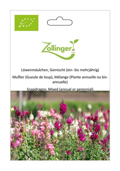 L�wenm�ulchen, Gemischt (ein- bis mehrj�hrig)
