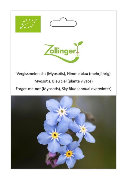 Vergissmeinnicht (Myosotis), Himmelblau (mehrj�hrig)
