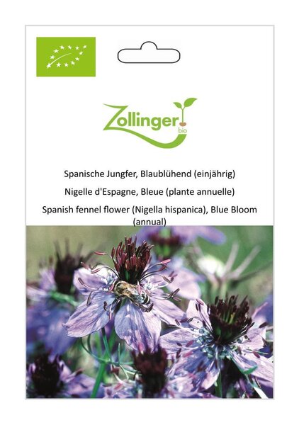 Spanische Jungfer, Blaubl�hend (einj�hrig)