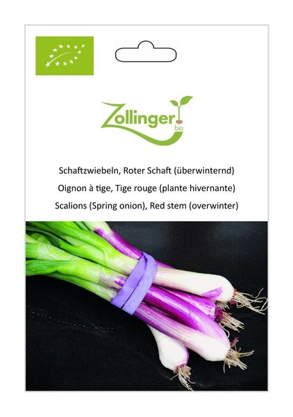 Schaftzwiebel, Roter Schaft