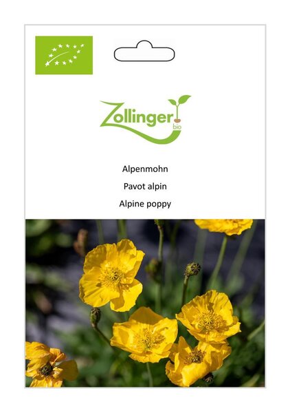 Alpenmohn, Grammont