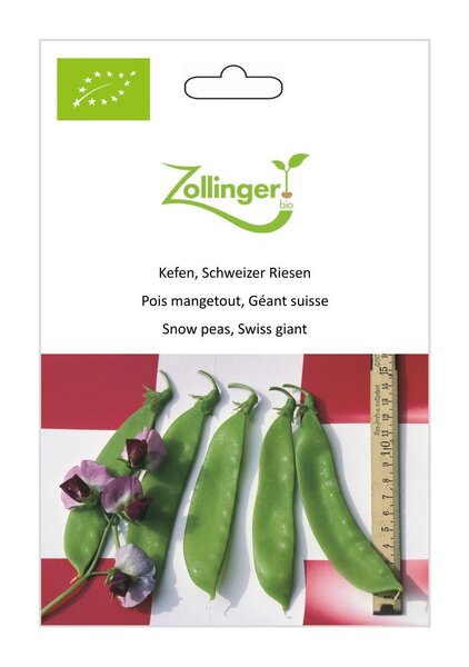Kefen, Schweizer Riesen