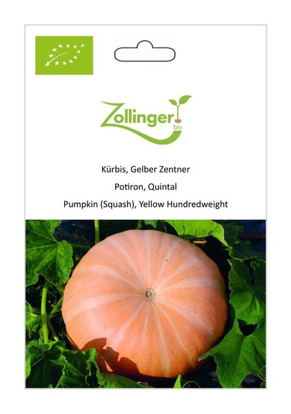 K�rbis, Gelber Zentner