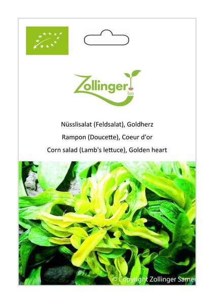 N�sslisalat (Feldsalat), Goldherz