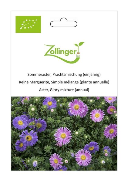 Sommeraster, Prachtsmischung (einj�hrig)