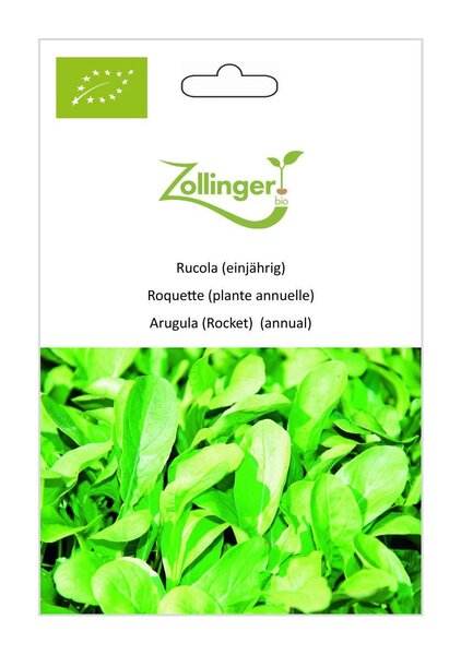 Rucola (einj�hrig)