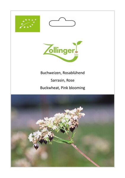 Buchweizen, Rosabl�hend