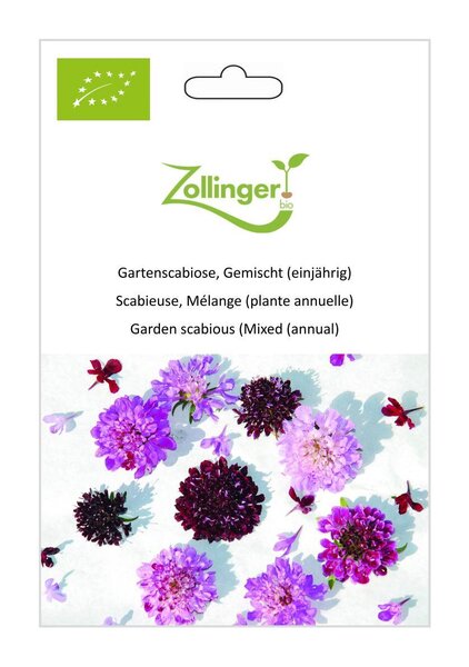 Gartenscabiose, Gemischt (einj�hrig)