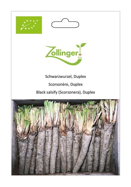 Schwarzwurzel, Duplex