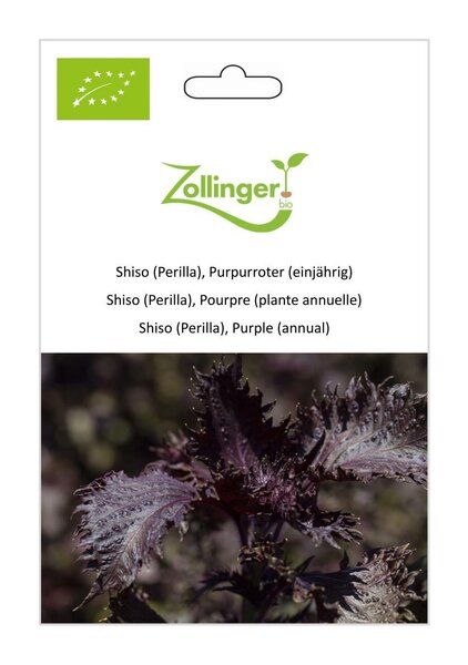 Shiso (Perilla), Purpurroter (einj�hrig)