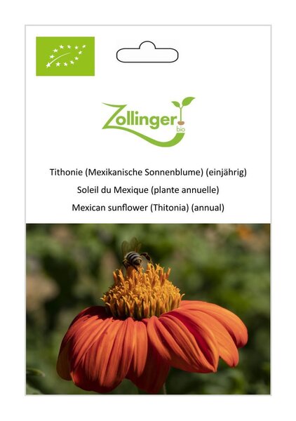 Tithonie (Mexikanische Sonnenblume) (einj�hrig)