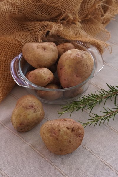Kartoffel Revoluzzer� 'Simsalata'�, Solanum tuberosum