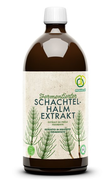 Multikraft Schachtelhalm Extrakt Konzentrat 1 Liter