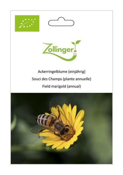 Ackerringelblume (einj�hrig)