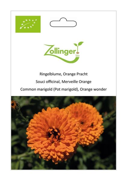 Ringelblume, Orange Pracht