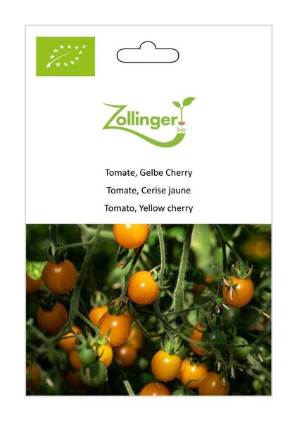 Tomate, Gelbe Cherry