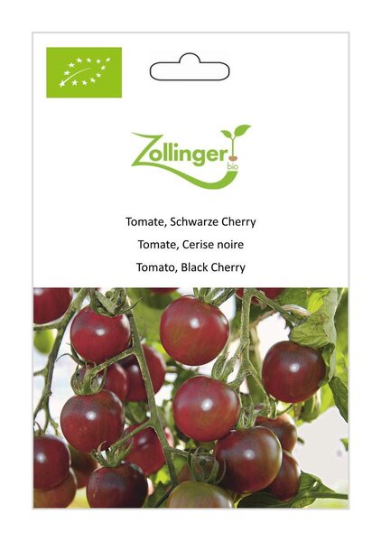 Tomate, Schwarze Cherry