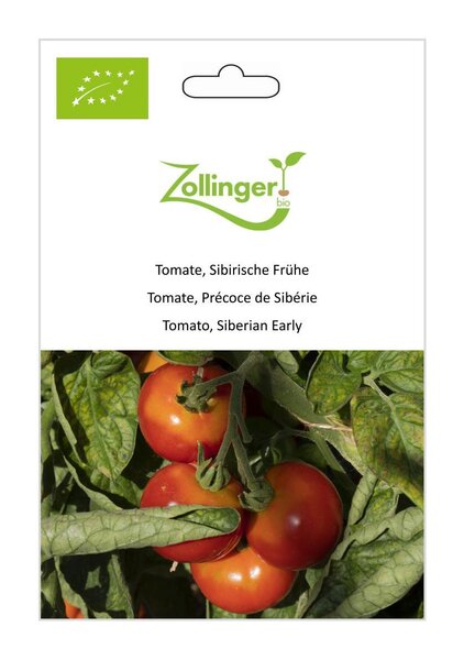 Tomate, Sibirische Fr�he