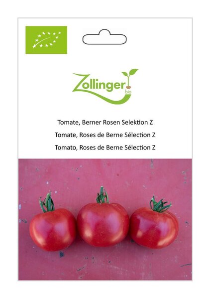 Tomate, Berner Rose Selektion Z