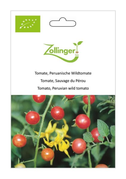 Tomate, Peruanische Wildtomate