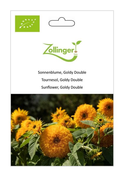 Sonnenblume, Goldy Double