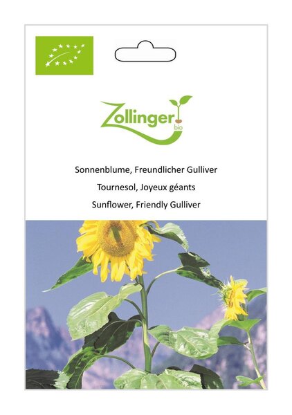 Sonnenblume, Freundlicher Gulliver