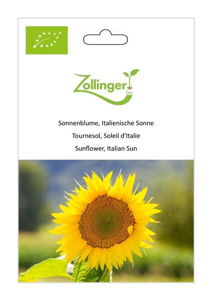 Sonnenblume, Italienische Sonne