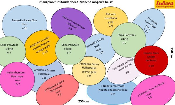 Staudenbeet Pflanzplan Manche mögens heiss, Lubera