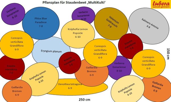 Staudenbeet Pflanzplan Multi-Kulti, Lubera