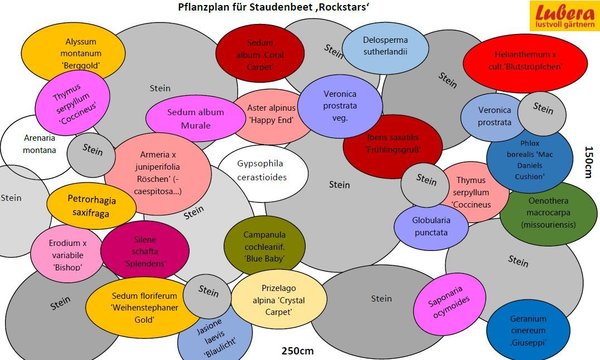 Staudenbeet Pflanzplan Rockstars, Lubera