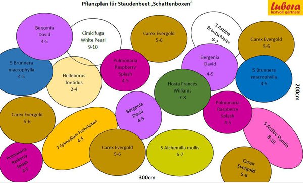Staudenbeet Pflanzplan Schattenboxen, Lubera