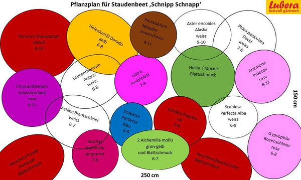 Staudenbeet Pflanzplan Schnipp Schnapp, Lubera