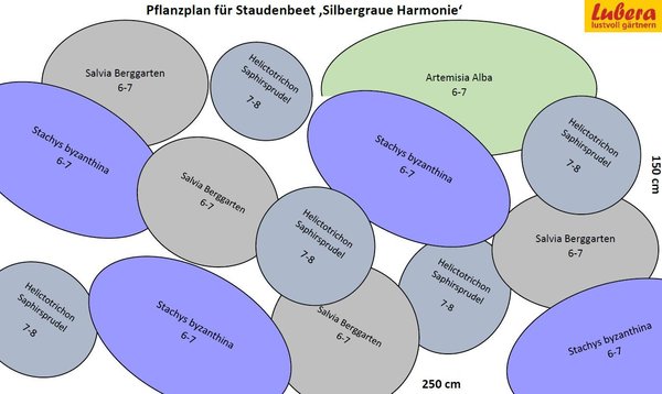 Staudenbeet Pflanzplan Silbergraue Harmonie, Lubera