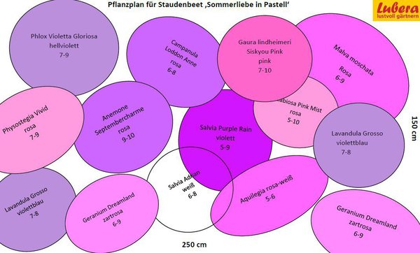 Staudenbeet Skizze Sommerliebe in Pastell, Lubera