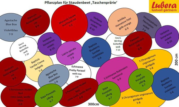 Staudenbeet Pflanzplan Taschenprärie, Lubera