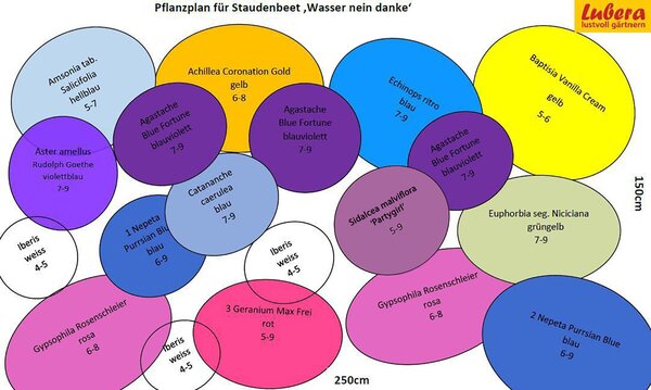 Staudenbeet Pflanzplan 'Wasser nein danke', korr