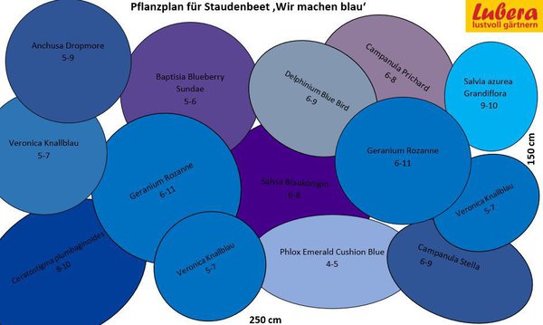 Staudenbeet Pflanzplan Wir machen blau, Lubera