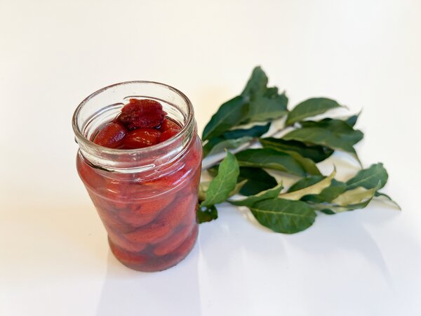 Goumis au sirop, Elaeagnus multiflora