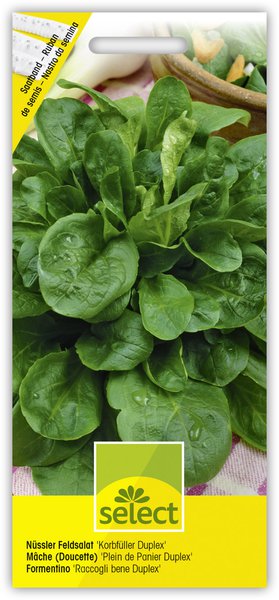 N�ssler Feldsalat 'Korbf�ller Duplex', Saatband