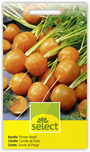 Karotte 'Pariser Markt' fr�h